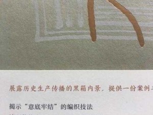 探究古弥新芙蓉炉强度测评，揭示其历史与现代价值