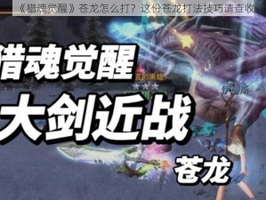 《猎魂觉醒》苍龙怎么打？这份苍龙打法技巧请查收