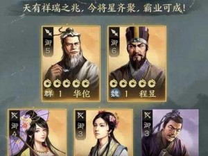 三国志战棋版预抽卡使用指南