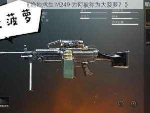 《绝地求生 M249 为何被称为大菠萝？》