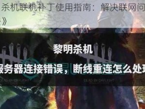 《黎明杀机联机补丁使用指南：解决联网问题的实用方法》