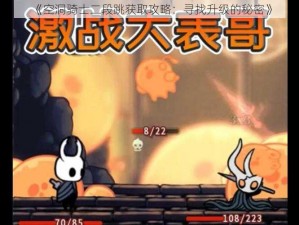 《空洞骑士二段跳获取攻略：寻找升级的秘密》