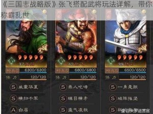 《三国志战略版》张飞搭配武将玩法详解，带你称霸乱世