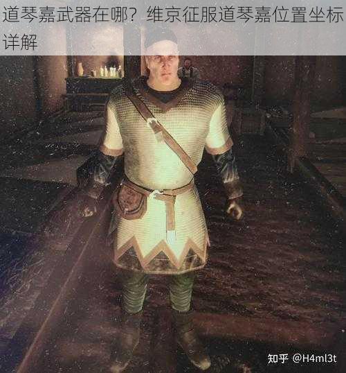 道琴嘉武器在哪？维京征服道琴嘉位置坐标详解