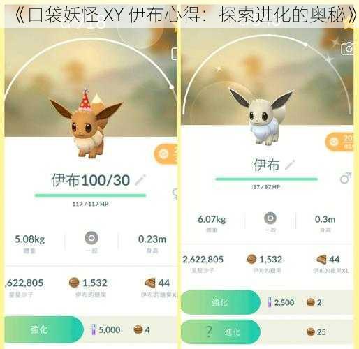 《口袋妖怪 XY 伊布心得：探索进化的奥秘》