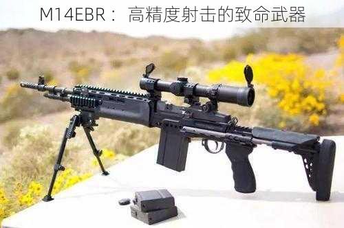 M14EBR ：高精度射击的致命武器