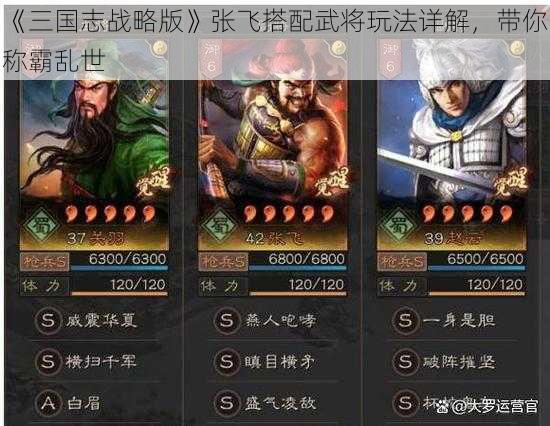 《三国志战略版》张飞搭配武将玩法详解，带你称霸乱世